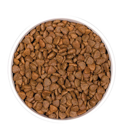 OWNAT Prime Grain Free Kitten | Pienso con pollo sin cereales para gatitos Gabo&Gordo Pet Shop en Las Palmas de Gran Canaria tienda para mascotas, perros, gatos, conejos, tortugas, animales