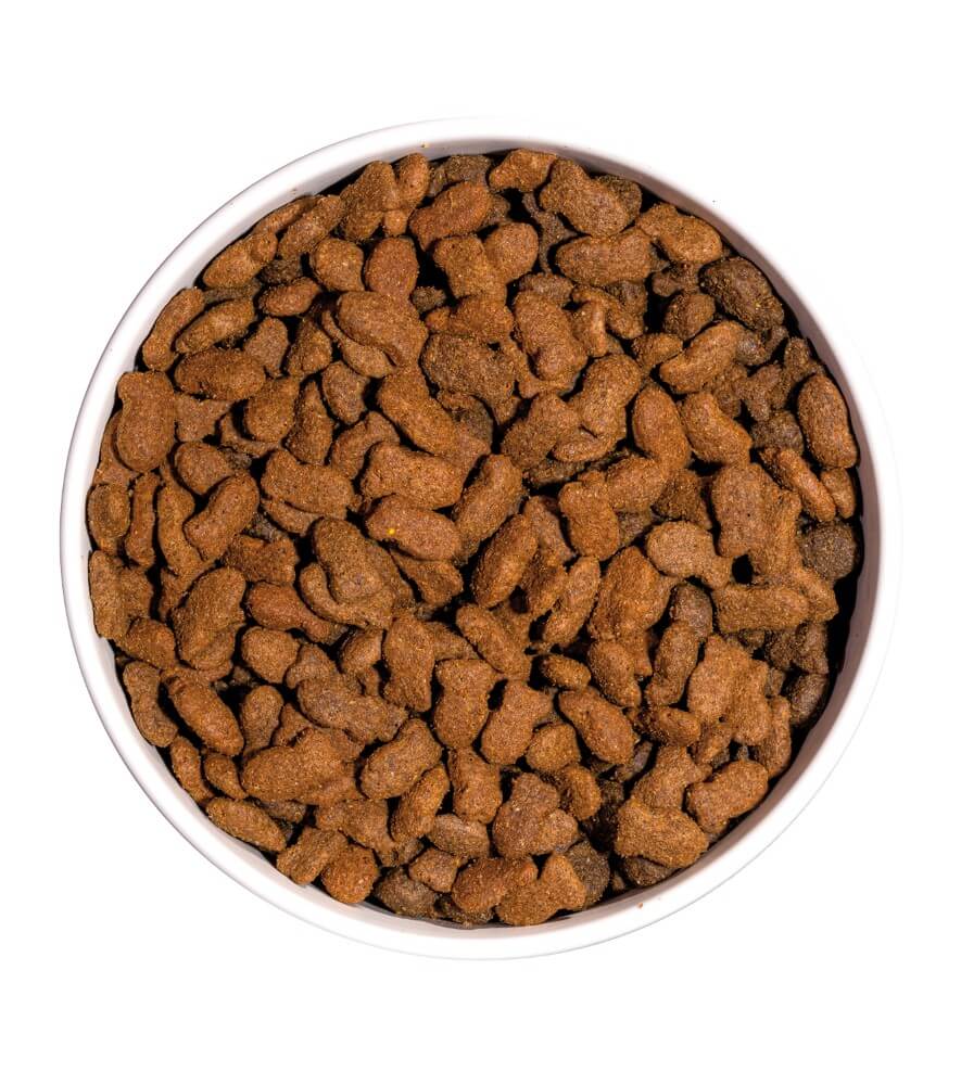 OWNAT Prime Grain Free Sterilized Fish | Pienso con pescado fresco sin cereales para gatos esterilizados Gabo&Gordo Pet Shop en Las Palmas de Gran Canaria tienda para mascotas, perros, gatos, conejos, tortugas, animales