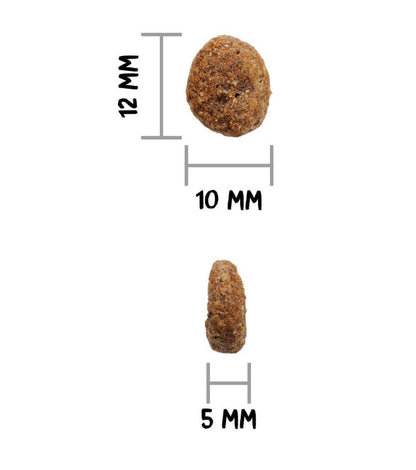 OWNAT Grain Free Hypoallergenic Mini Lamb | pienso Hipoalergénico con cordero sin cereales para perros pequeños. Gabo y Gordo E Shop, la mejor tienda online en las Islas Canarias, España, tienda online para mascotas, perros, gatos, conejos, tortugas, animales, accesorios para mascotas en general. 
Gabo y Gordo E Shop in Canary Islands, the best store for pets, dogs, cats, rabbits, turtles, animals, pet accessories.
