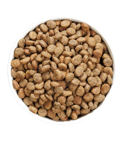 OWNAT Grain Free Hypoallergenic Mini Lamb | pienso Hipoalergénico con cordero sin cereales para perros pequeños Gabo y Gordo E Shop, la mejor tienda online en las Islas Canarias, España, tienda online para mascotas, perros, gatos, conejos, tortugas, animales, accesorios para mascotas en general. 
Gabo y Gordo E Shop in Canary Islands, the best store for pets, dogs, cats, rabbits, turtles, animals, pet accessories.