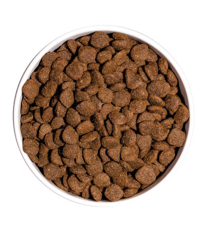 OWNAT Ultra Medium Sterilized | Pienso para perros esterilizados de razas medianas, Gabo y Gordo E Shop, la mejor tienda online en las Islas Canarias, España, tienda online para mascotas, perros, gatos, conejos, tortugas, animales, accesorios para mascotas en general. 
Gabo y Gordo E Shop in Canary Islands, the best store for pets, dogs, cats, rabbits, turtles, animals, pet accessories.