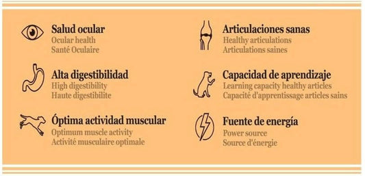OWNAT Aceite de Salmón 100% Puro en formato 250 ml para perros y gatos. Mejora su salud, pelaje y bienestar. Compra en Gabo y Gordo E Shop con envío gratis en Gran Canaria.