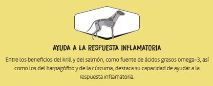 OWNAT Aceite de Salmón para perros y gatos – Botella 250 ml
