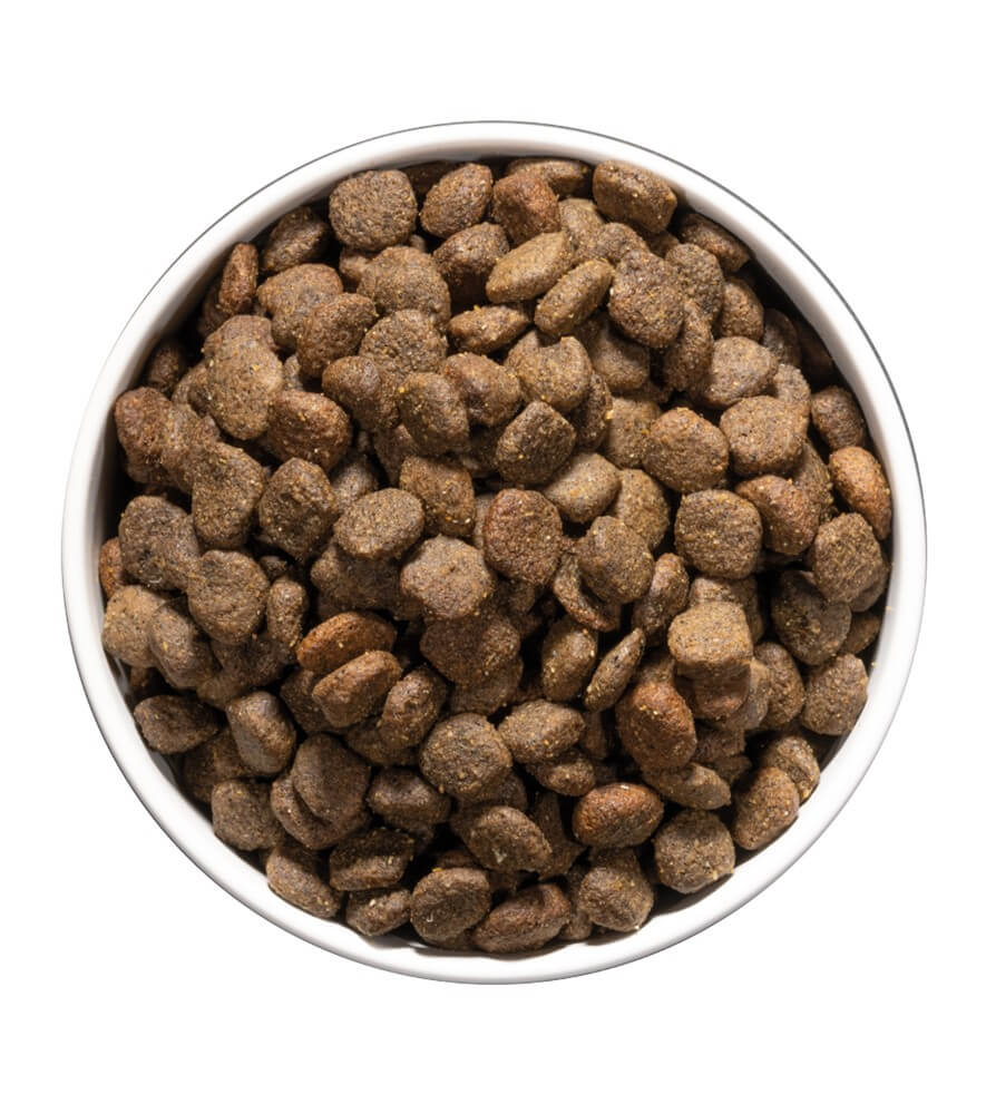 OWNAT Care Digestive – Pienso natural para perros con digestión sensible