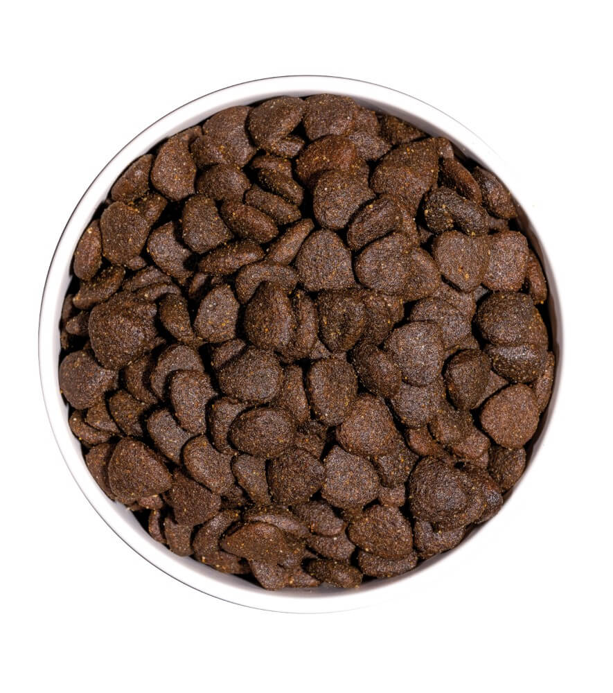 OWNAT Just Grain Free Adult Lamb – Pienso natural sin cereales con cordero fresco para perros adultos