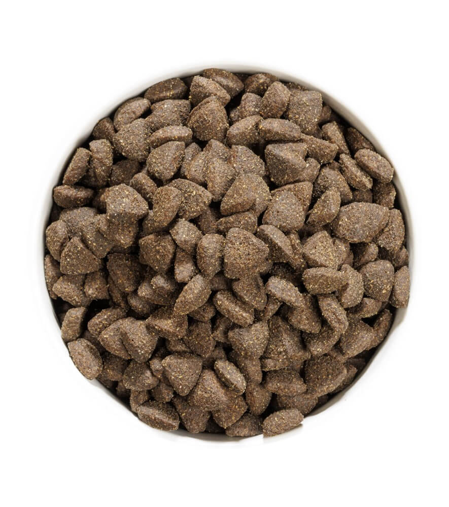 OWNAT Prime Grain Free Adult Lamb pienso sin cereales con cordero fresco para perros adultos con sensibilidad digestiva o alergias alimentarias.