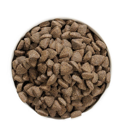 OWNAT Prime Grain Free Adult Lamb pienso sin cereales con cordero fresco para perros adultos con sensibilidad digestiva o alergias alimentarias.
