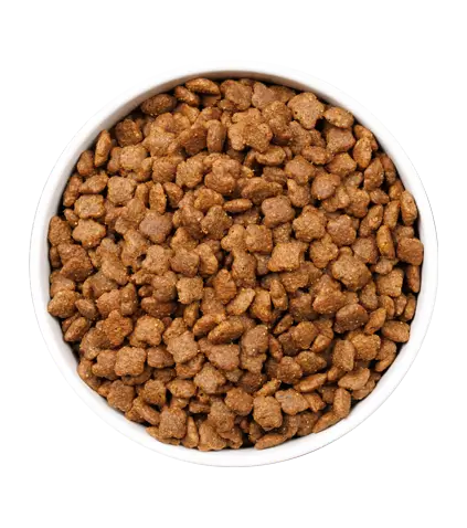 OWNAT Ultra Mature Cat 7-12 años pienso para gatos maduros con pollo y pavo