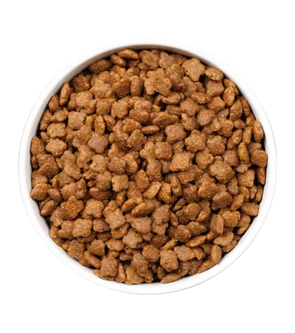 OWNAT Ultra Mature Cat 7-12 años pienso para gatos maduros con pollo y pavo