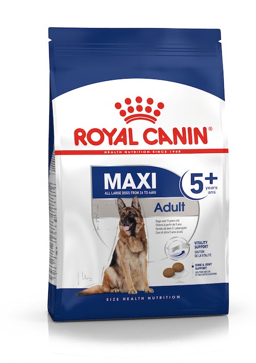 ROYAL CANIN Maxi Adult +5 Gabo&Gordo Pet Shop en Las Palmas de Gran Canaria tienda para mascotas, perros, gatos, conejos, tortugas, animales