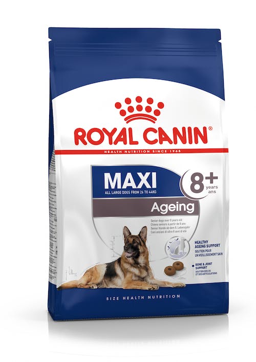 ROYAL CANIN Maxi Adult +8 Gabo&Gordo Pet Shop en Las Palmas de Gran Canaria tienda para mascotas, perros, gatos, conejos, tortugas, animales