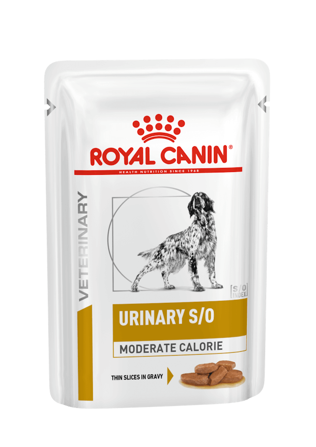 ROYAL CANIN Urinary S/O Moderate Calorie Salsa | Pack de sobres de 12 x 100 g para perros