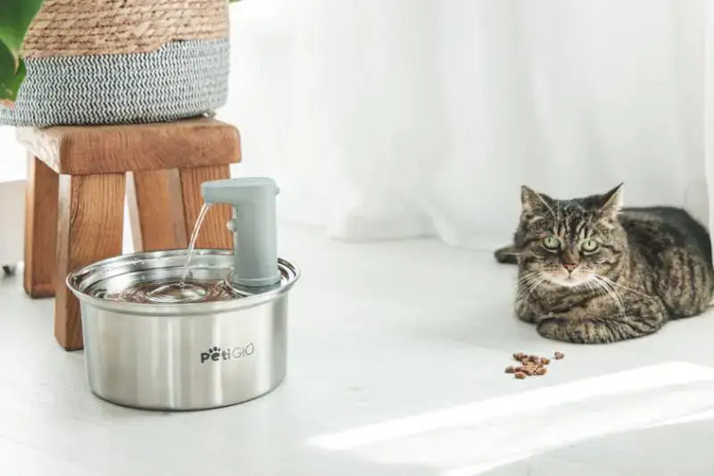 Fuente de agua inteligente Peti-to-Eat PETI-150 de acero inoxidable para gatos y perros con sensor de movimiento y capacidad de 2,1 litros