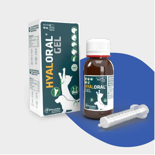 Hyaloral Gel 50 ml de Pharmadiet, suplemento articular con ácido hialurónico, colágeno, glucosamina y condroitina para perros y gatos, con jeringa dosificadora