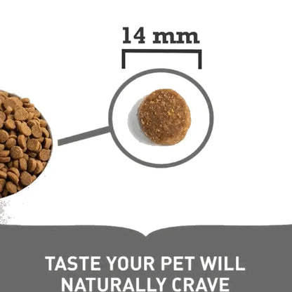 🐕 ACANA Light & Fit | Pienso natural sin cereales para perros adultos con tendencia al sobrepeso