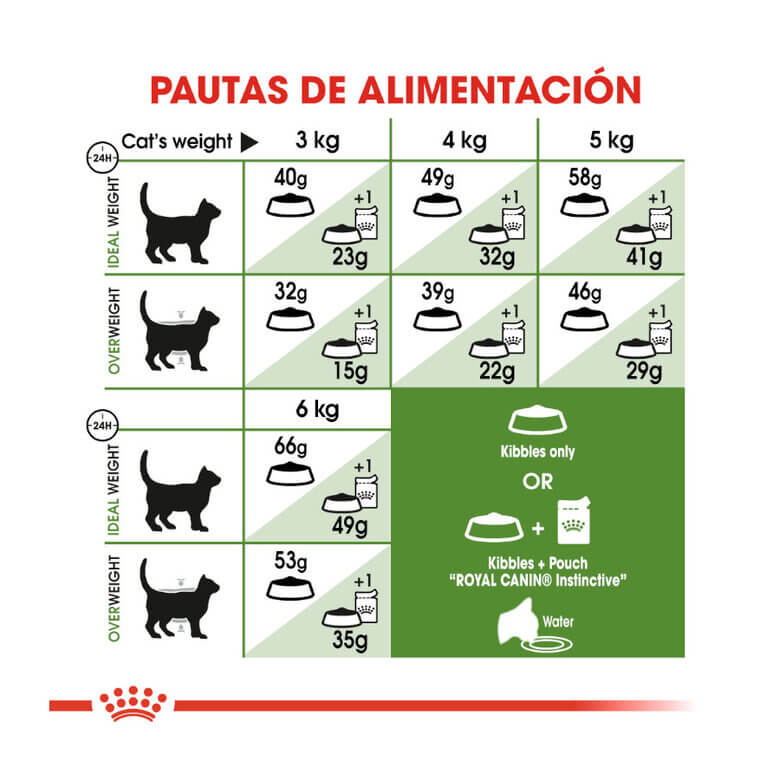 ROYAL CANIN Active Life Outdoor / Pienso Para Gatos. Gabo&Gordo Pet Shop en Las Palmas de Gran Canaria tienda para mascotas, perros, gatos, conejos, tortugas, animales