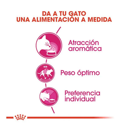 ROYAL CANIN Aroma Exigente / Pienso Para Gatos. Gabo y Gordo E Shop, la mejor tienda online en las Islas Canarias, España, tienda online para mascotas, perros, gatos, conejos, tortugas, animales, accesorios para mascotas en general. 
Gabo y Gordo E Shop in Canary Islands, the best store for pets, dogs, cats, rabbits, turtles, animals, pet accessories.