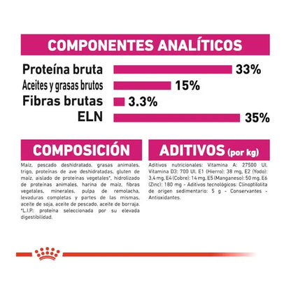 ROYAL CANIN Aroma Exigente / Pienso Para Gatos. Gabo y Gordo E Shop, la mejor tienda online en las Islas Canarias, España, tienda online para mascotas, perros, gatos, conejos, tortugas, animales, accesorios para mascotas en general. 
Gabo y Gordo E Shop in Canary Islands, the best store for pets, dogs, cats, rabbits, turtles, animals, pet accessories.