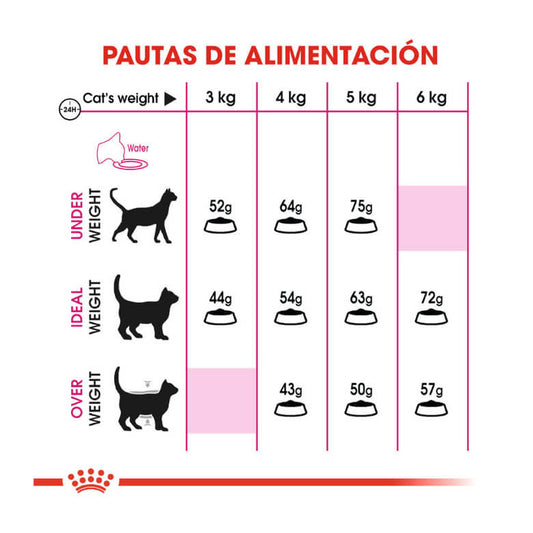 ROYAL CANIN Aroma Exigente / Pienso Para Gatos. Gabo&Gordo Pet Shop en Las Palmas de Gran Canaria tienda para mascotas, perros, gatos, conejos, tortugas, animales