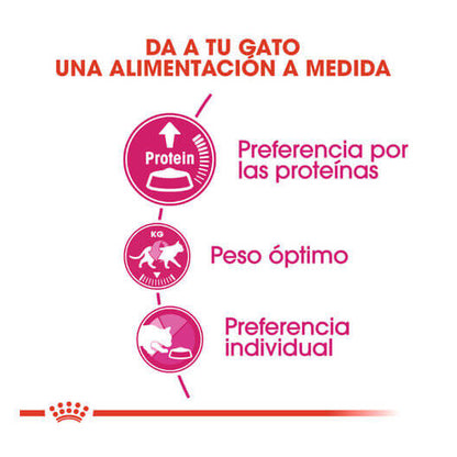 ROYAL CANIN Proteina Exigente 35/30 / Pienso Para Gatos. Gabo y Gordo E Shop, la mejor tienda online en las Islas Canarias, España, tienda online para mascotas, perros, gatos, conejos, tortugas, animales, accesorios para mascotas en general. 
Gabo y Gordo E Shop in Canary Islands, the best store for pets, dogs, cats, rabbits, turtles, animals, pet accessories.