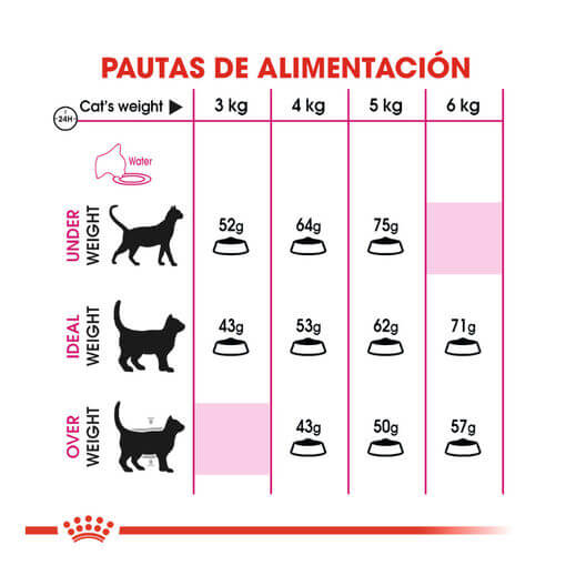 ROYAL CANIN Proteina Exigente 35/30 / Pienso Para Gatos. Gabo&Gordo Pet Shop en Las Palmas de Gran Canaria tienda para mascotas, perros, gatos, conejos, tortugas, animales
