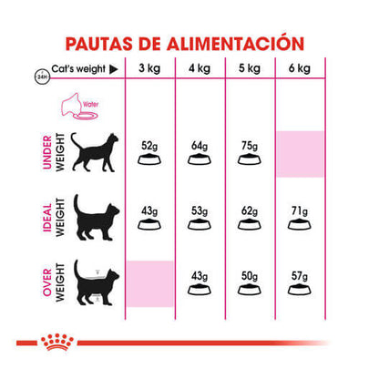 ROYAL CANIN Proteina Exigente 35/30 / Pienso Para Gatos. Gabo y Gordo E Shop, la mejor tienda online en las Islas Canarias, España, tienda online para mascotas, perros, gatos, conejos, tortugas, animales, accesorios para mascotas en general. 
Gabo y Gordo E Shop in Canary Islands, the best store for pets, dogs, cats, rabbits, turtles, animals, pet accessories.