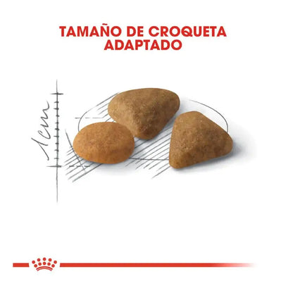 ROYAL CANIN Savour Exigente 35/30 / Pienso Para Gatos. Gabo y Gordo E Shop, la mejor tienda online en las Islas Canarias, España, tienda online para mascotas, perros, gatos, conejos, tortugas, animales, accesorios para mascotas en general. 
Gabo y Gordo E Shop in Canary Islands, the best store for pets, dogs, cats, rabbits, turtles, animals, pet accessories.