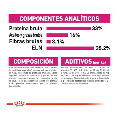 ROYAL CANIN Savour Exigente 35/30 / Pienso Para Gatos. Gabo y Gordo E Shop, la mejor tienda online en las Islas Canarias, España, tienda online para mascotas, perros, gatos, conejos, tortugas, animales, accesorios para mascotas en general. 
Gabo y Gordo E Shop in Canary Islands, the best store for pets, dogs, cats, rabbits, turtles, animals, pet accessories.