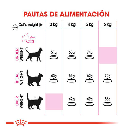 ROYAL CANIN Savour Exigente 35/30 / Pienso Para Gatos. Gabo&Gordo Pet Shop en Las Palmas de Gran Canaria tienda para mascotas, perros, gatos, conejos, tortugas, animales