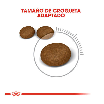ROYAL CANIN Hair Skin / Pienso Para Gatos. Gabo y Gordo E Shop, la mejor tienda online en las Islas Canarias, España, tienda online para mascotas, perros, gatos, conejos, tortugas, animales, accesorios para mascotas en general. 
Gabo y Gordo E Shop in Canary Islands, the best store for pets, dogs, cats, rabbits, turtles, animals, pet accessories.
