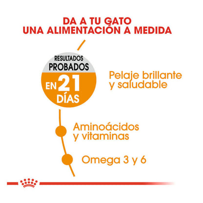 ROYAL CANIN Hair Skin / Pienso Para Gatos. Gabo y Gordo E Shop, la mejor tienda online en las Islas Canarias, España, tienda online para mascotas, perros, gatos, conejos, tortugas, animales, accesorios para mascotas en general. 
Gabo y Gordo E Shop in Canary Islands, the best store for pets, dogs, cats, rabbits, turtles, animals, pet accessories.