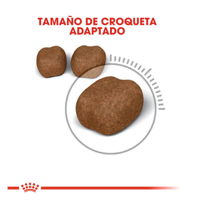 ROYAL CANIN Oral Care / Pienso Para Gatos. Gabo y Gordo E Shop, la mejor tienda online en las Islas Canarias, España, tienda online para mascotas, perros, gatos, conejos, tortugas, animales, accesorios para mascotas en general. 
Gabo y Gordo E Shop in Canary Islands, the best store for pets, dogs, cats, rabbits, turtles, animals, pet accessories.