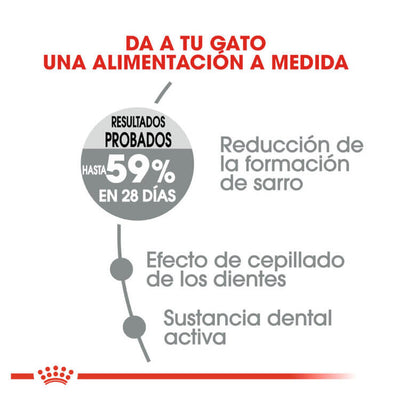 ROYAL CANIN Oral Care / Pienso Para Gatos. Gabo y Gordo E Shop, la mejor tienda online en las Islas Canarias, España, tienda online para mascotas, perros, gatos, conejos, tortugas, animales, accesorios para mascotas en general. 
Gabo y Gordo E Shop in Canary Islands, the best store for pets, dogs, cats, rabbits, turtles, animals, pet accessories.