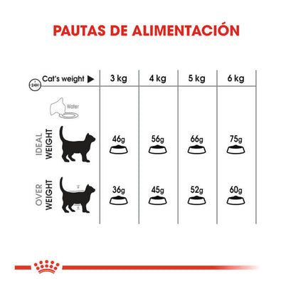 ROYAL CANIN Oral Care / Pienso Para Gatos. Gabo y Gordo E Shop, la mejor tienda online en las Islas Canarias, España, tienda online para mascotas, perros, gatos, conejos, tortugas, animales, accesorios para mascotas en general. 
Gabo y Gordo E Shop in Canary Islands, the best store for pets, dogs, cats, rabbits, turtles, animals, pet accessories.