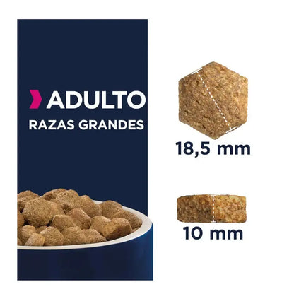 Eukanuba Pienso Perros Adultos Razas Grandes en Gabo&Gordo Pet Shop en Las Palmas de Gran Canaria tienda para mascotas, perros, gatos, conejos, tortugas, animales, accesorios para mascotas