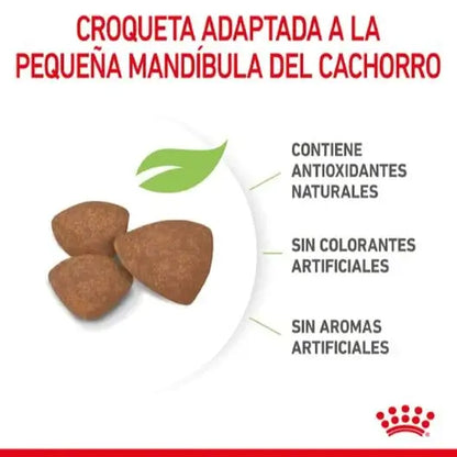 ROYAL CANIN Puppy Mini Gabo y Gordo E Shop, la mejor tienda online en las Islas Canarias, España, tienda online para mascotas, perros, gatos, conejos, tortugas, animales, accesorios para mascotas en general. 
Gabo y Gordo E Shop in Canary Islands, the best store for pets, dogs, cats, rabbits, turtles, animals, pet accessories.