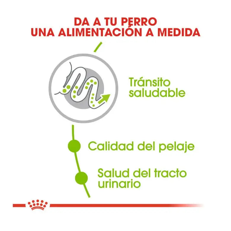 ROYAL CANIN Xsmall Adult Gabo y gordo pet shop