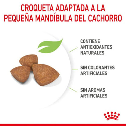 ROYAL CANIN Xsmall Puppy Gabo y Gordo E Shop, la mejor tienda online en las Islas Canarias, España, tienda online para mascotas, perros, gatos, conejos, tortugas, animales, accesorios para mascotas en general. 
Gabo y Gordo E Shop in Canary Islands, the best store for pets, dogs, cats, rabbits, turtles, animals, pet accessories.