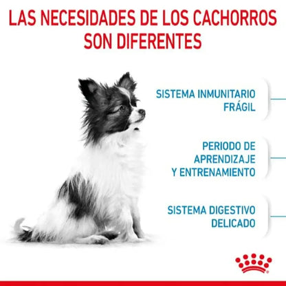ROYAL CANIN Xsmall Puppy Gabo y Gordo E Shop, la mejor tienda online en las Islas Canarias, España, tienda online para mascotas, perros, gatos, conejos, tortugas, animales, accesorios para mascotas en general. 
Gabo y Gordo E Shop in Canary Islands, the best store for pets, dogs, cats, rabbits, turtles, animals, pet accessories.