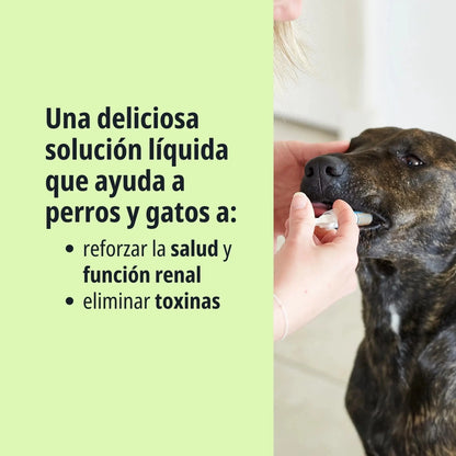 Pronefra suspensión oral para ayudar a mantener la función renal en perros y gatos adultos