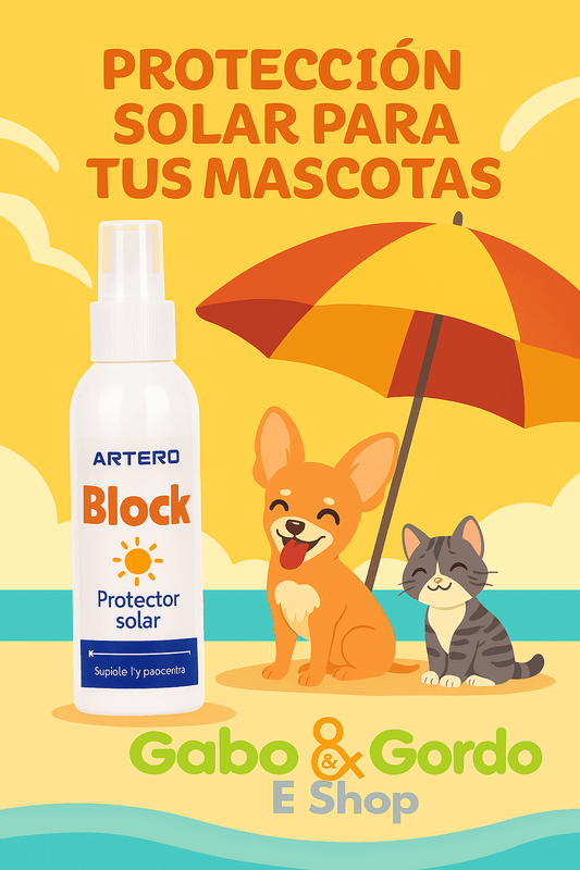 Perro protegido del sol con Artero Block Spray en verano
