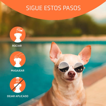 Perro protegido del sol con Artero Block Spray en verano