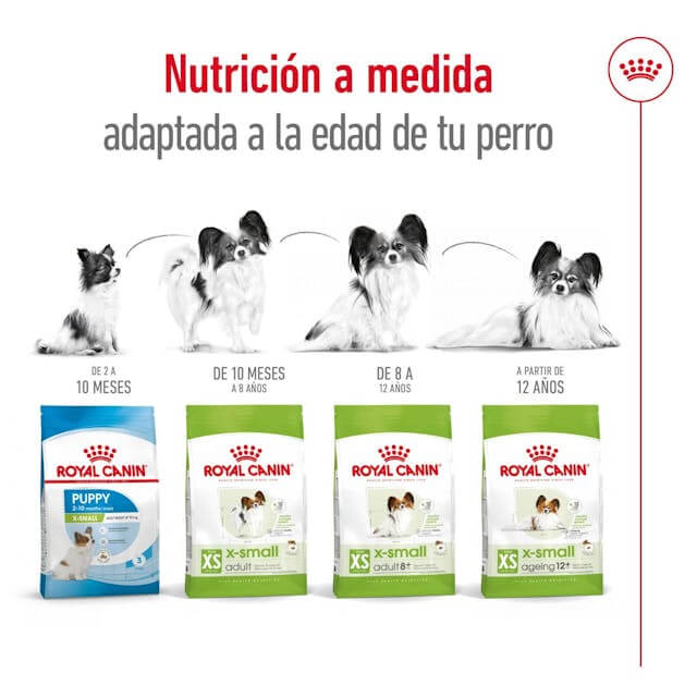 ROYAL CANIN Xsmall Adult.  Gabo y Gordo Pet Shop en Las Palmas de Gran Canaria tienda para mascotas, perros, gatos, conejos, tortugas, animales, accesorios para mascotas. 