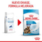 ROYAL CANIN Maxi STARTER Mother & Babydog Gabo&Gordo Pet Shop en Las Palmas de Gran Canaria tienda para mascotas, perros, gatos, conejos, tortugas, animales