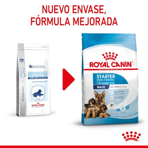 ROYAL CANIN Maxi STARTER Mother & Babydog Gabo&Gordo Pet Shop en Las Palmas de Gran Canaria tienda para mascotas, perros, gatos, conejos, tortugas, animales