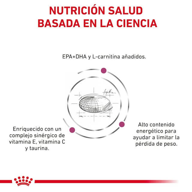 ROYAL CANIN Cardiac | Alimento dietético completo para perros adultos.  Gabo y Gordo Pet Shop en Las Palmas de Gran Canaria tienda para mascotas, perros, gatos, conejos, tortugas, animales, accesorios para mascotas.