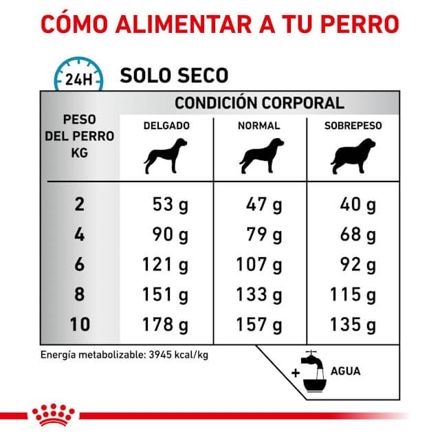 ROYAL CANIN Skin Care Small Dog  | Alimento dietético completo para perros adultos de razas pequeñas.  Gabo y Gordo Pet Shop en Las Palmas de Gran Canaria tienda para mascotas, perros, gatos, conejos, tortugas, animales, accesorios para mascotas.