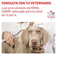 ROYAL CANIN  Satiety Weight Management | Pack de lata para  perros adultos.  Gabo&Gordo Pet Shop en Las Palmas de Gran Canaria tienda para mascotas, perros, gatos, conejos, tortugas, animales