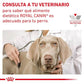 ROYAL CANIN Urinary S/O | Comida húmeda para perros adultos.  Gabo&Gordo Pet Shop en Las Palmas de Gran Canaria tienda para mascotas, perros, gatos, conejos, tortugas, animales