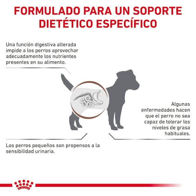 ROYAL CANIN Gastrointestinal Low Fat Small Dog | Alimento dietético completo para perros adultos de razas pequeñas.  Gabo y Gordo Pet Shop en Las Palmas de Gran Canaria tienda para mascotas, perros, gatos, conejos, tortugas, animales, accesorios para mascotas.